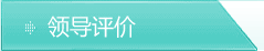 领导评价